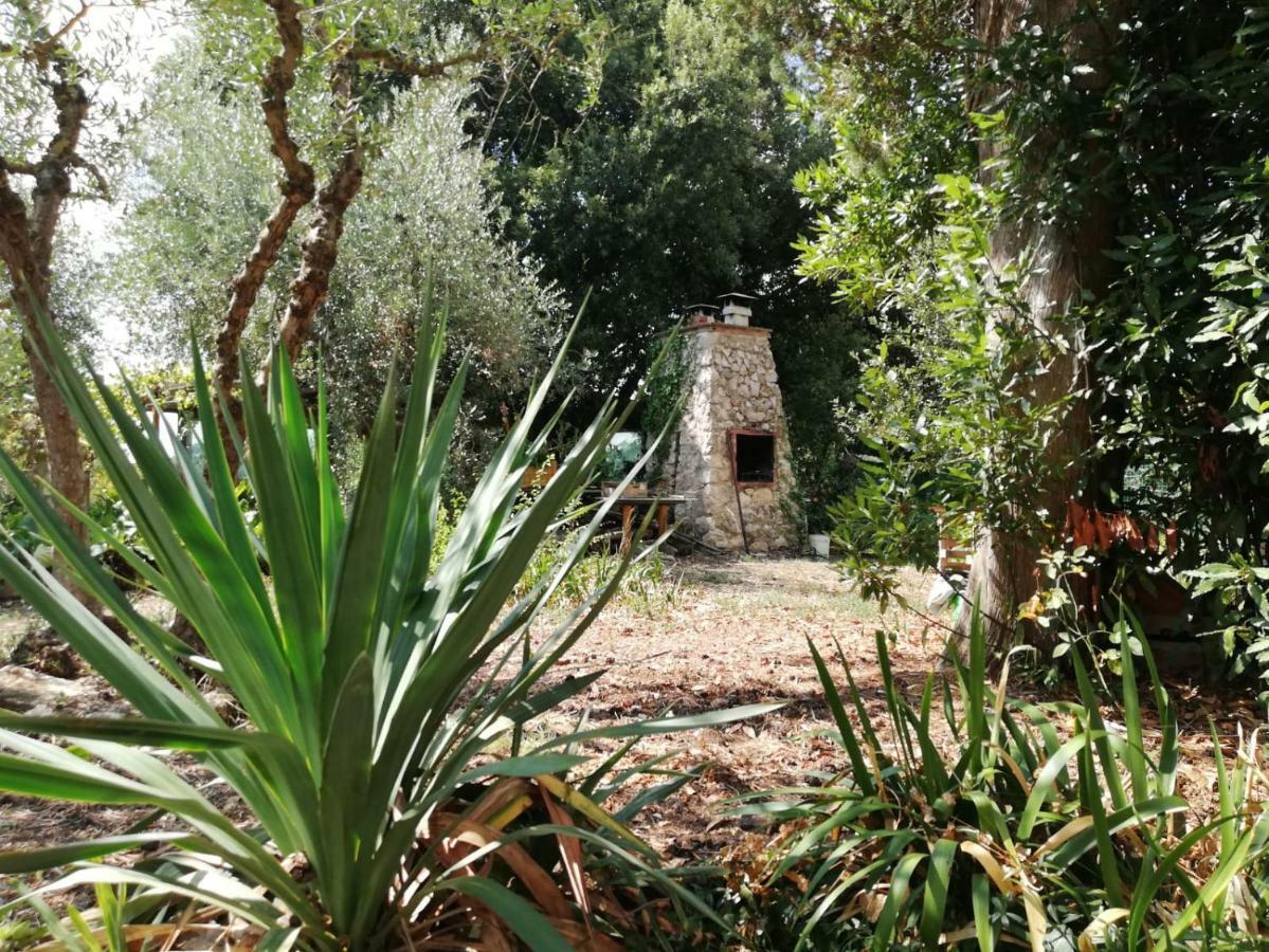 Nel Chianti Lungo La Francigena Apartment Colle Val D'Elsa Exterior photo