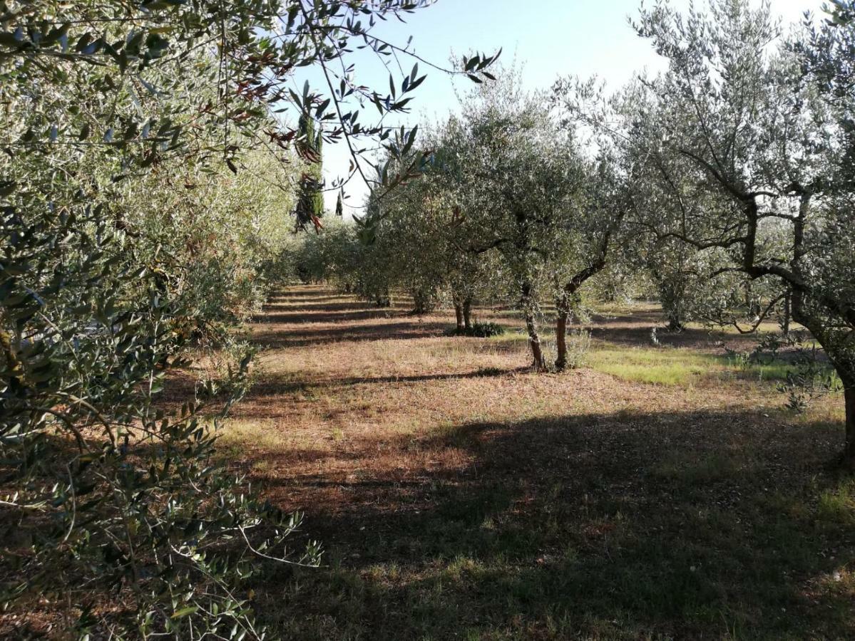 Nel Chianti Lungo La Francigena Apartment Colle Val D'Elsa Exterior photo