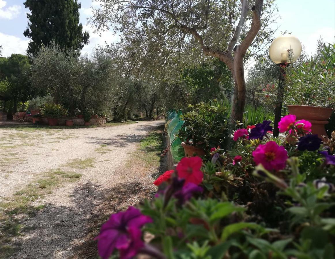 Nel Chianti Lungo La Francigena Apartment Colle Val D'Elsa Exterior photo