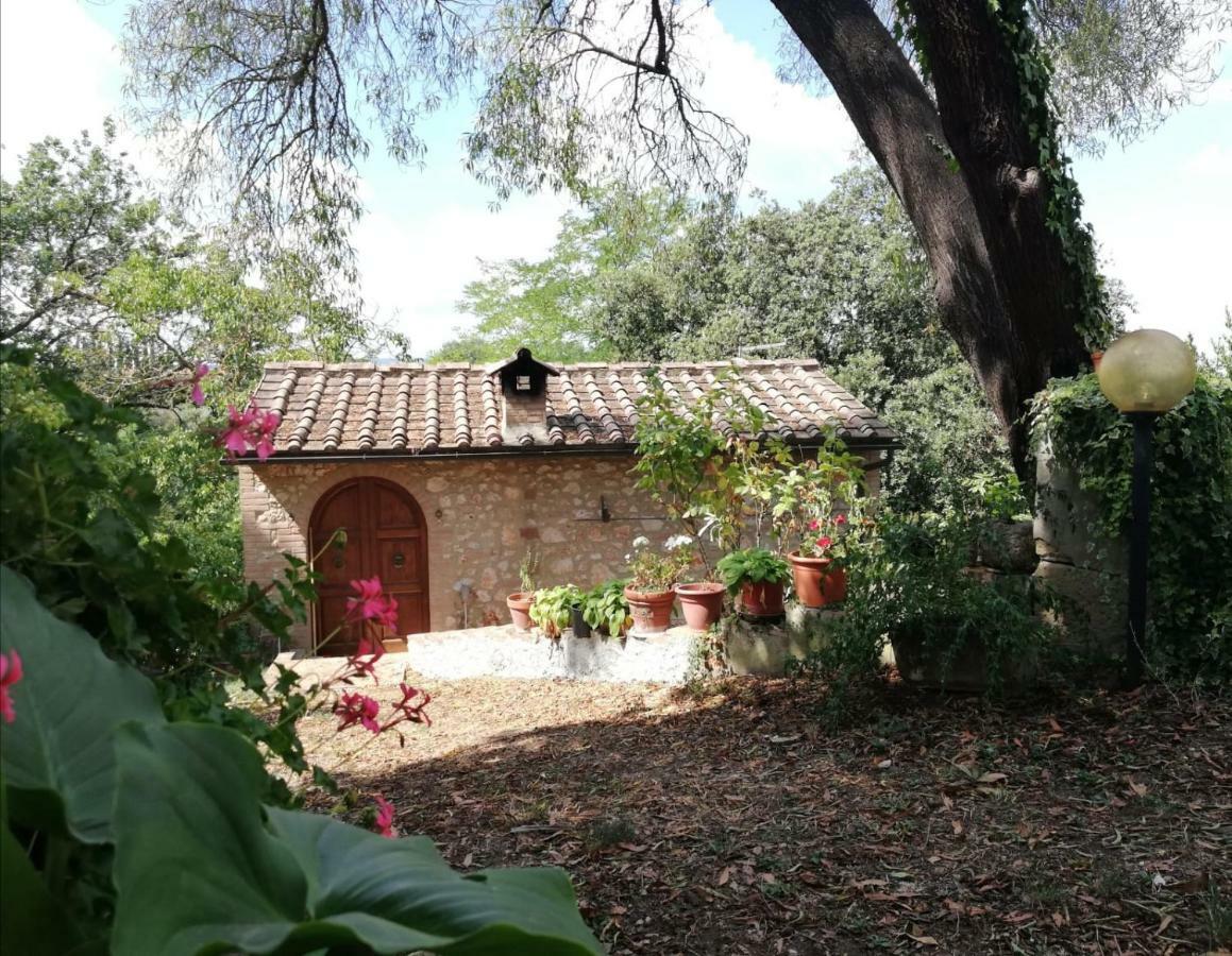 Nel Chianti Lungo La Francigena Apartment Colle Val D'Elsa Exterior photo
